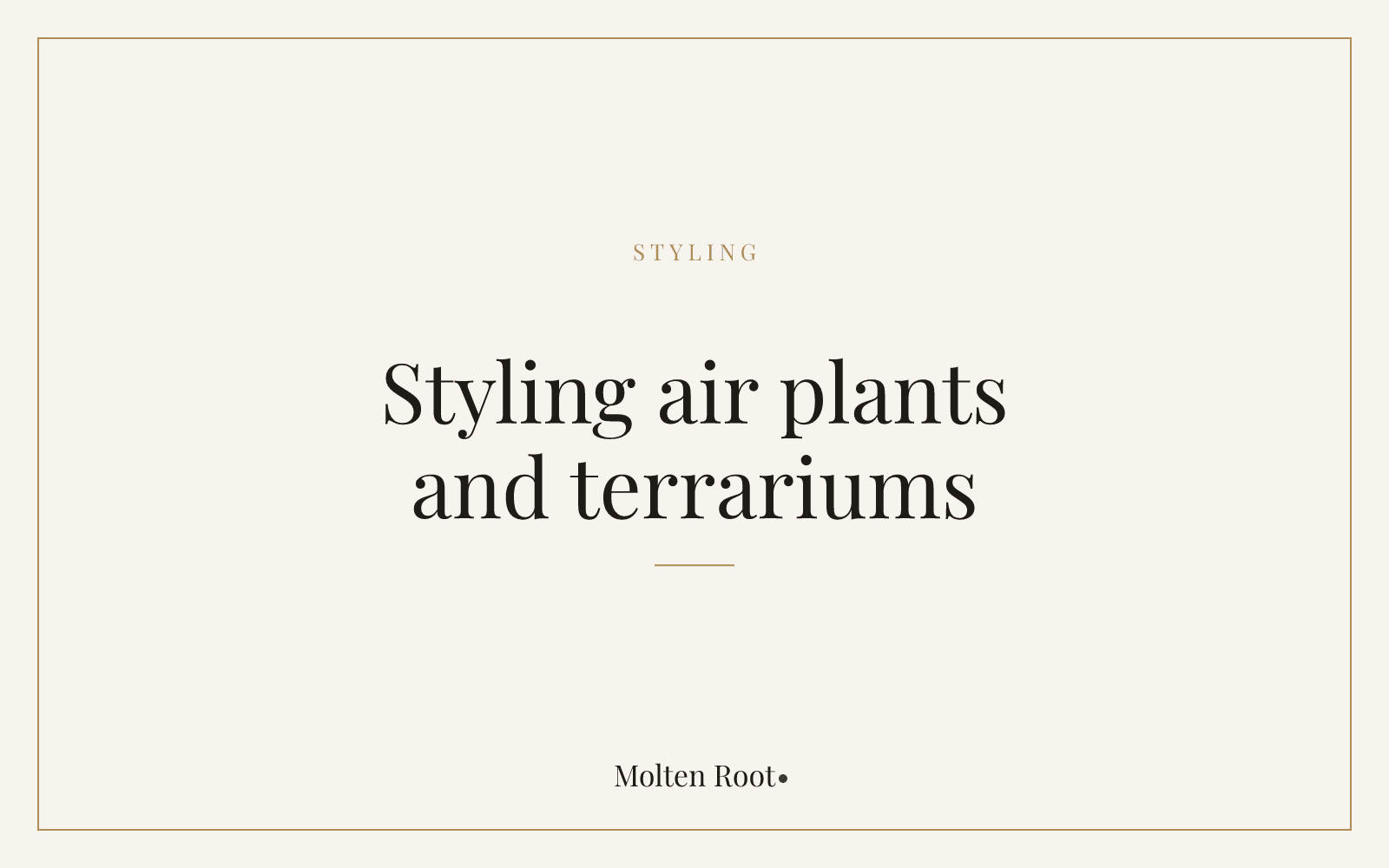 Styling Air Plants and Terrariums in Glass Vessels - Molten Root