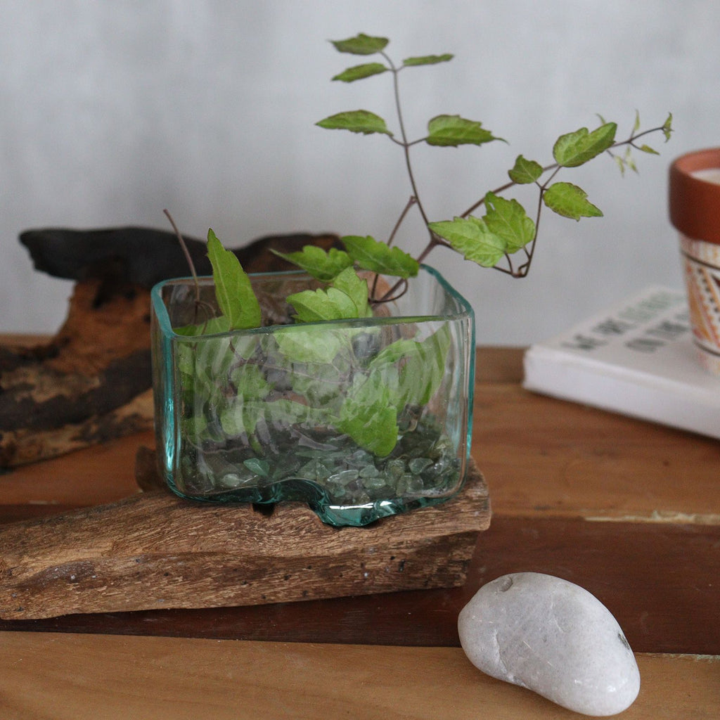 Molten Glass on Wood Bowl, Small (Hand-Blown Recycled Glass)