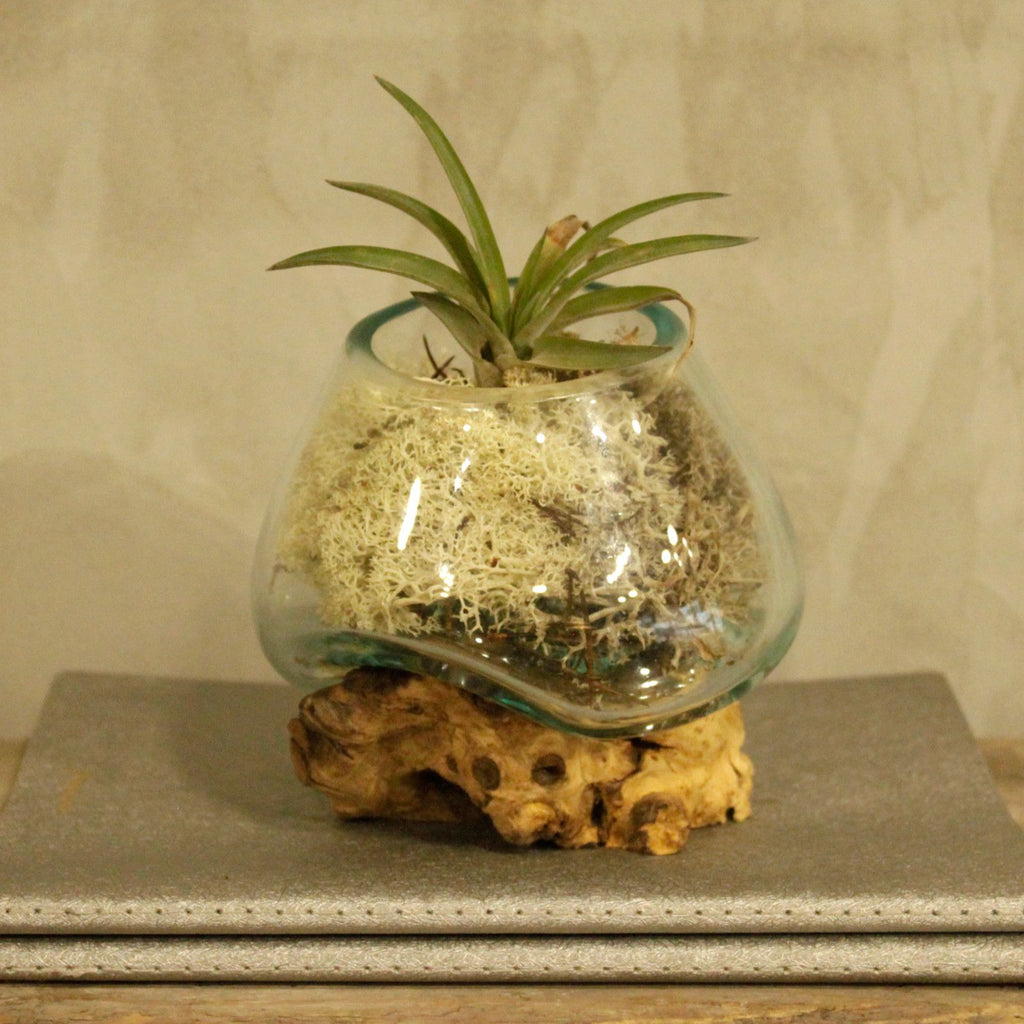 Molten Glass on Wood Bowl, Small (Hand-Blown Recycled Glass)