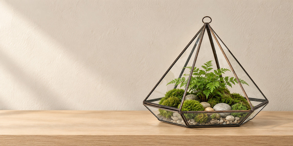 Diamond glass terrarium in a brass-finish frame, planted with moss and a fern, on an oak shelf