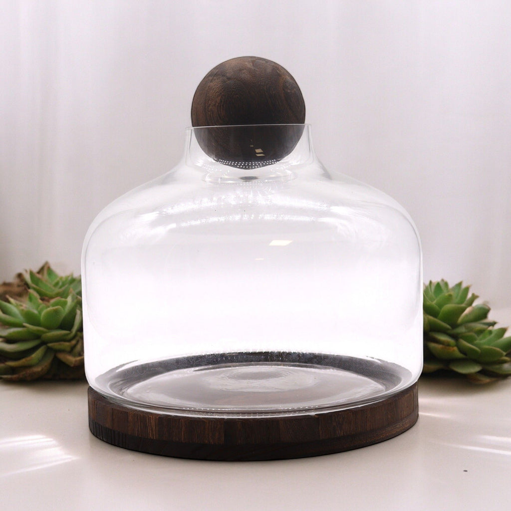 Ex-Large Ball Top Terrarium on Dark Tung Wood - Molten Root