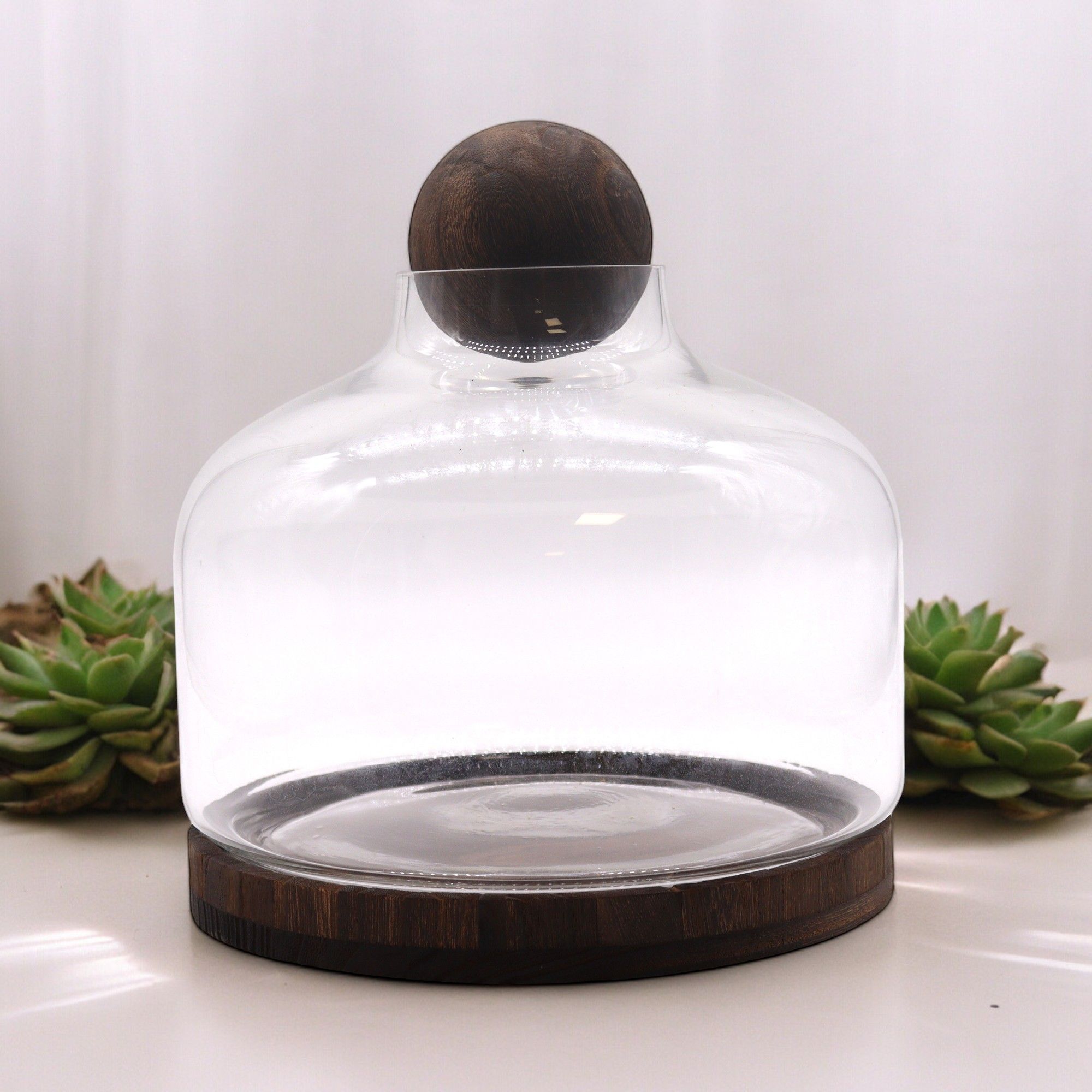 Ex-Large Ball Top Terrarium on Dark Tung Wood - Molten Root