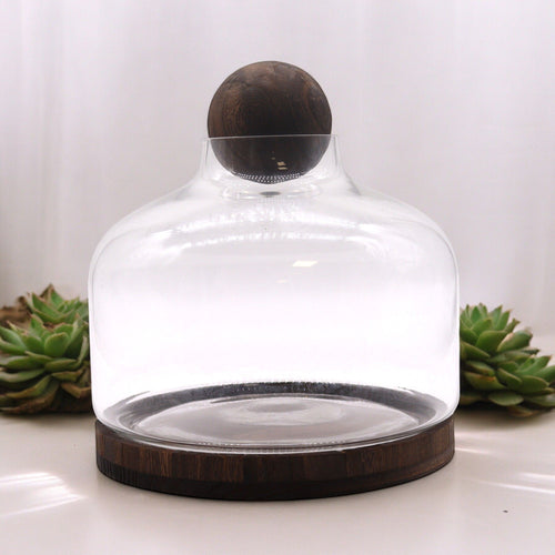 Ex-Large Ball Top Terrarium on Dark Tung Wood - Molten Root