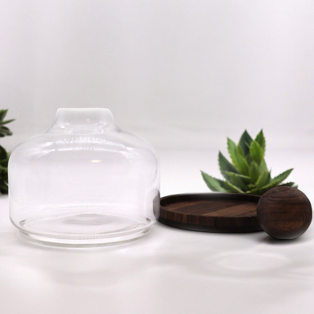 Ex-Large Ball Top Terrarium on Dark Tung Wood - Molten Root