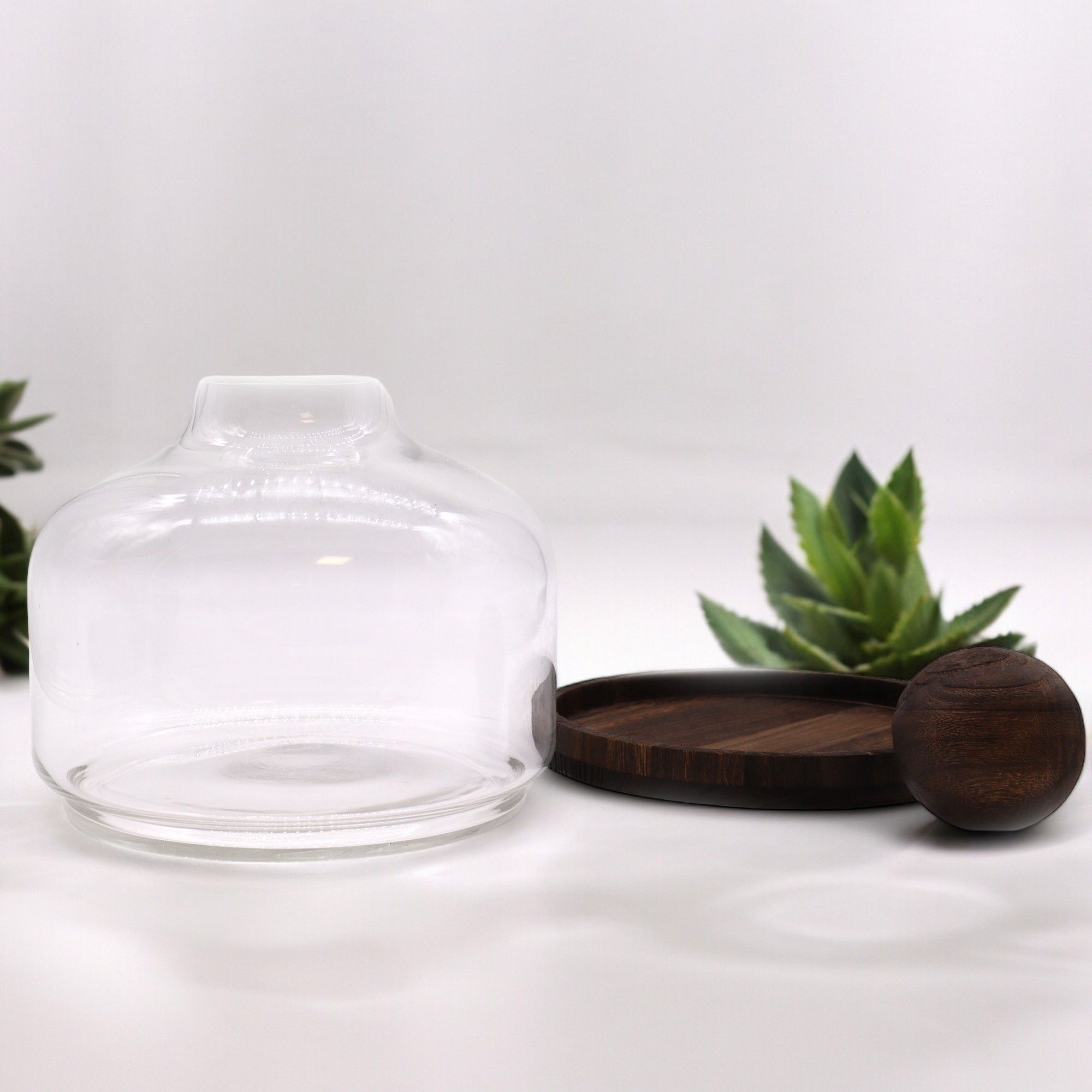 Ex-Large Ball Top Terrarium on Dark Tung Wood - Molten Root