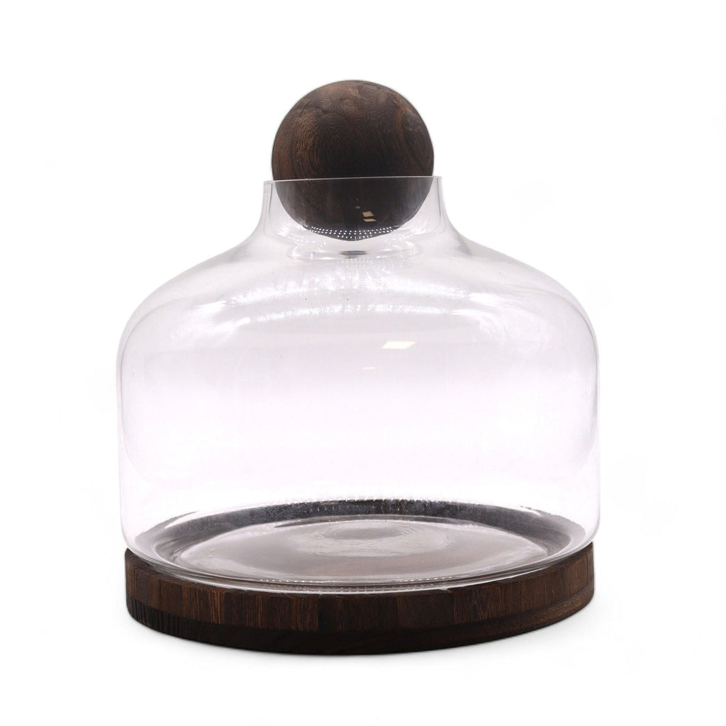 Ex-Large Ball Top Terrarium on Dark Tung Wood - Molten Root