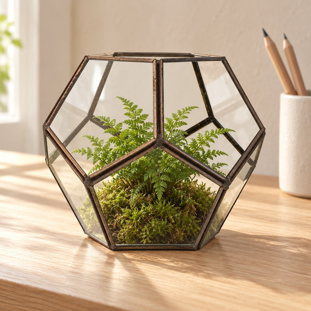 Large geometric glass terrarium planted with a small fern on moss, on an oak desk