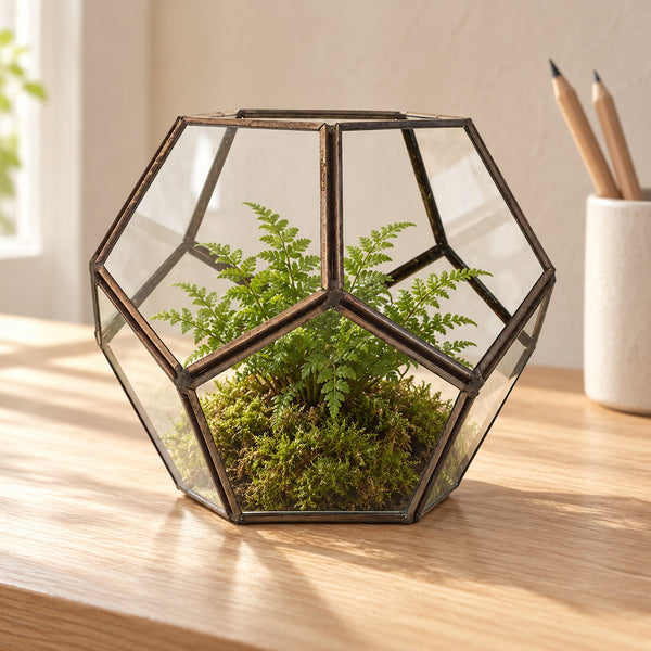 Geometric glass terrarium planted with a fern and moss, on an oak desk