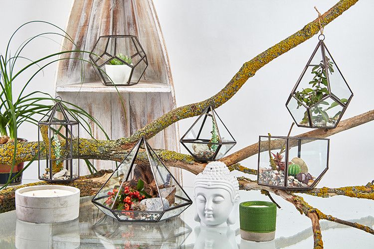 Glass Terrarium - Cube on Corner - Molten Root