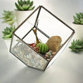 Glass Terrarium - Cube on Corner - Molten Root