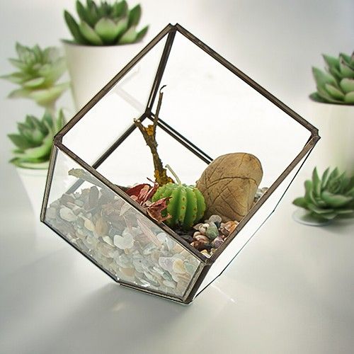 Glass Terrarium - Cube on Corner - Molten Root