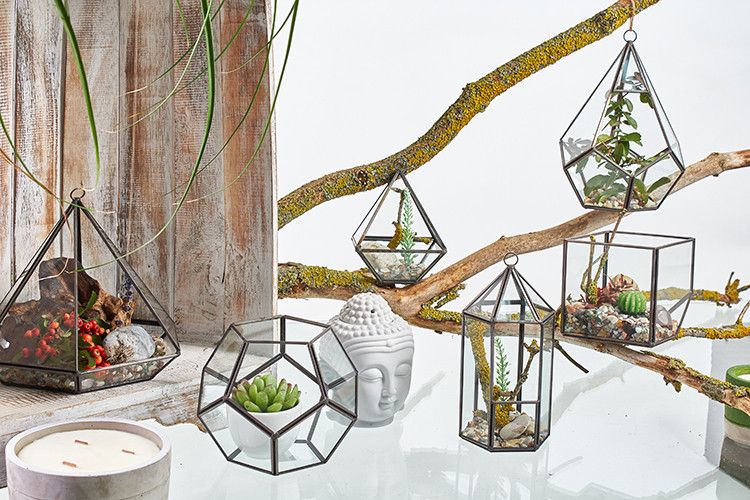 Glass Terrarium - Cube on Corner - Molten Root