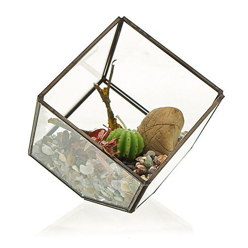 Glass Terrarium - Cube on Corner - Molten Root