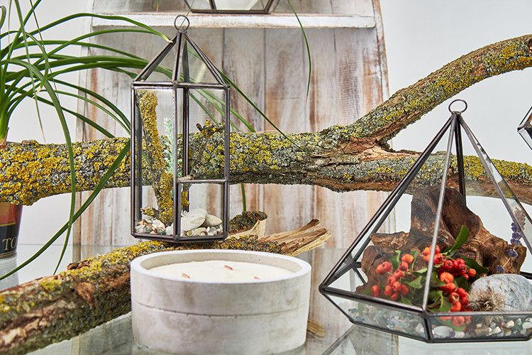 Glass Terrarium - Lantern Shape - Molten Root