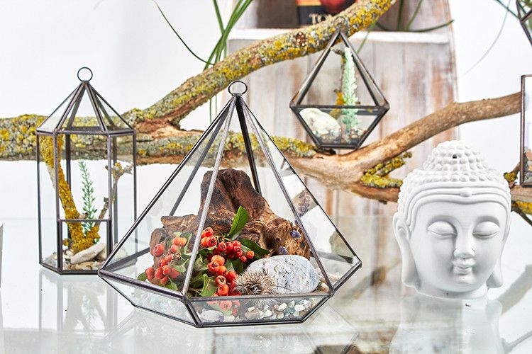 Glass Terrarium - Lantern Shape - Molten Root