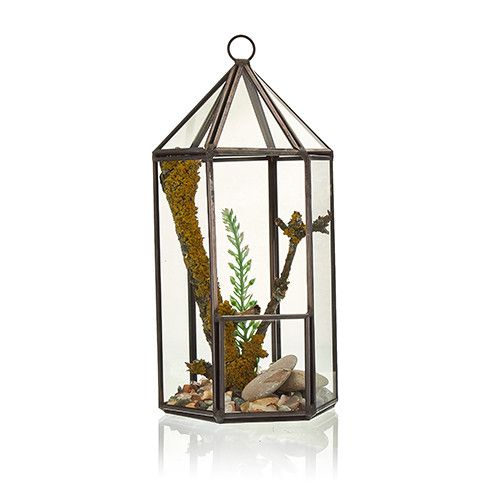 Glass Terrarium - Lantern Shape - Molten Root