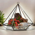 Glass Terrarium - Large Diamond - Molten Root