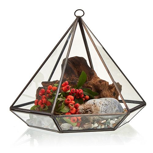 Glass Terrarium - Large Diamond - Molten Root