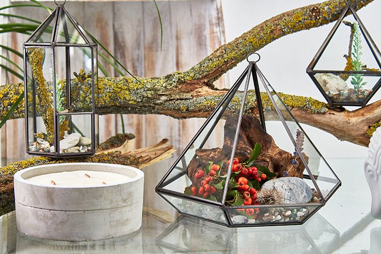 Glass Terrarium - Large Diamond - Molten Root