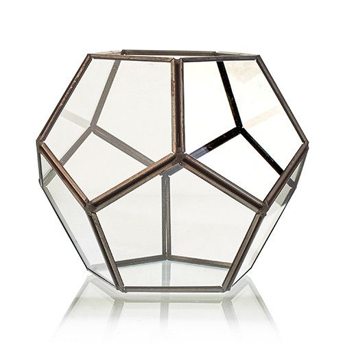 Glass Terrarium - Large Octagon - Molten Root