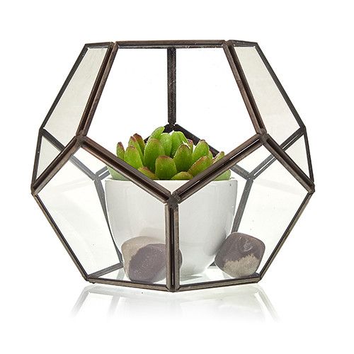 Glass Terrarium - Large Octagon - Molten Root