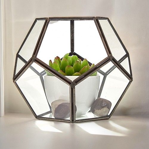 Glass Terrarium - Large Octagon - Molten Root