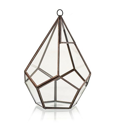 Glass Terrarium - Large Pentagon - Molten Root