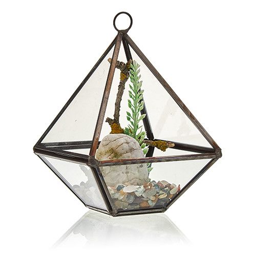 Glass Terrarium - Small Diamond - Molten Root