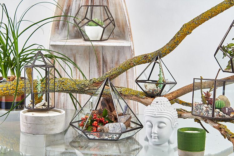 Glass Terrarium - Small Diamond - Molten Root
