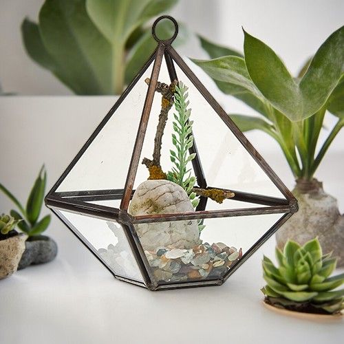 Glass Terrarium - Small Diamond - Molten Root