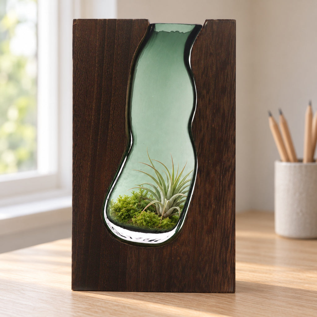 Large green glass vase terrarium set into dark tung wood, planted with moss and an air plant on an oak desk
