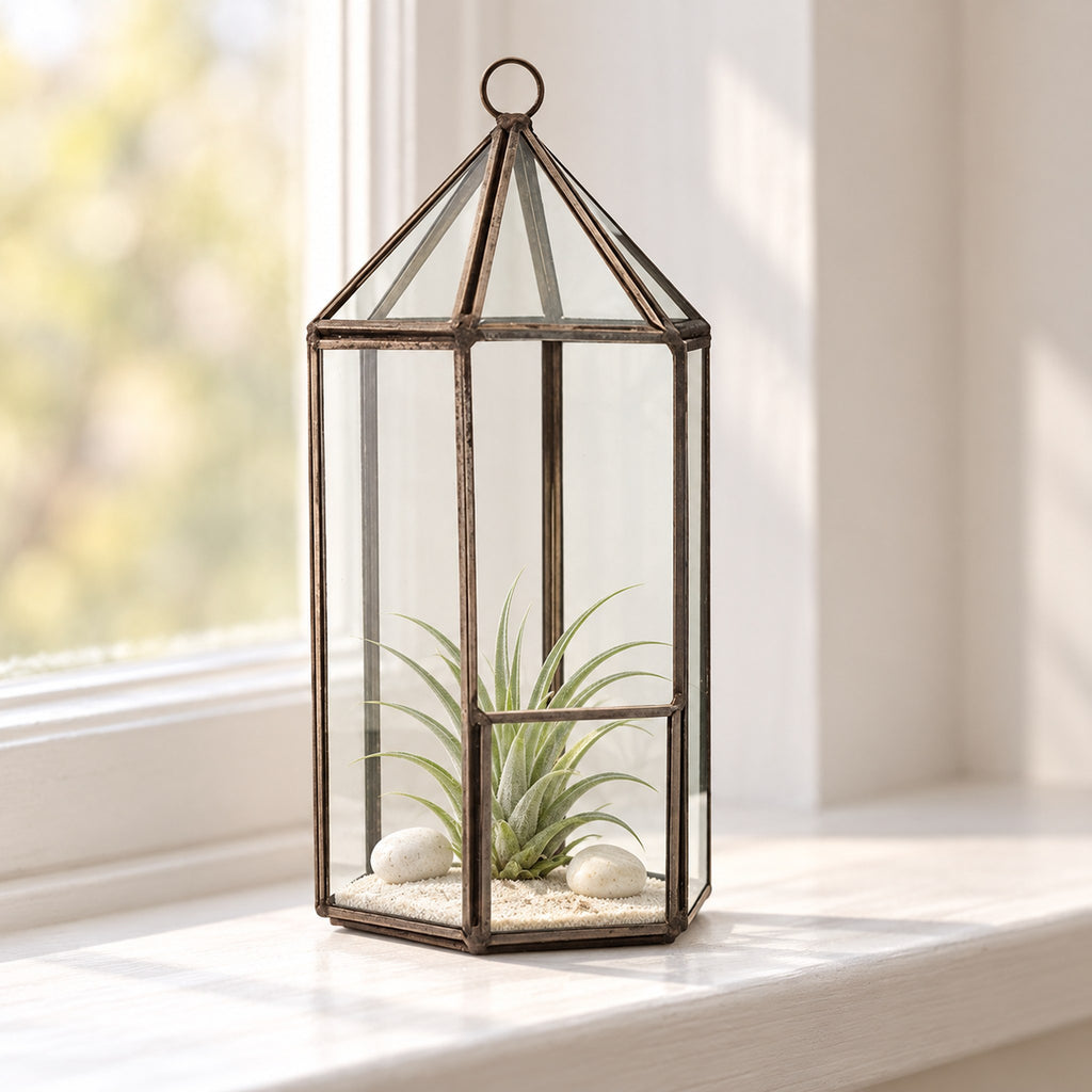 Lantern glass terrarium with an air plant on sand and pebbles, on a painted windowsill