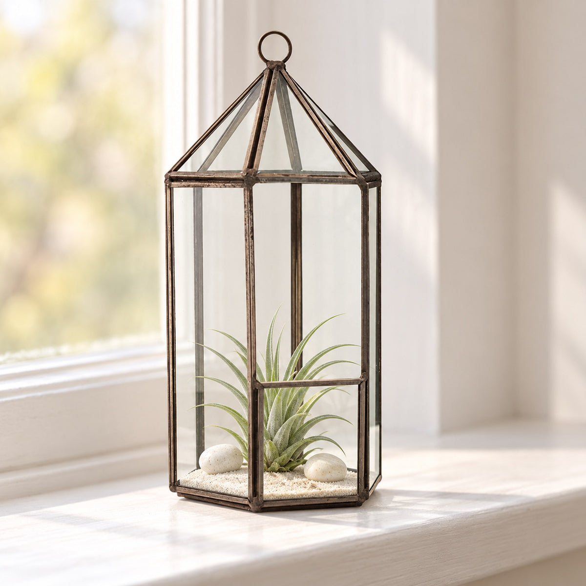 Lantern glass terrarium with an air plant on sand and pebbles, on a painted windowsill