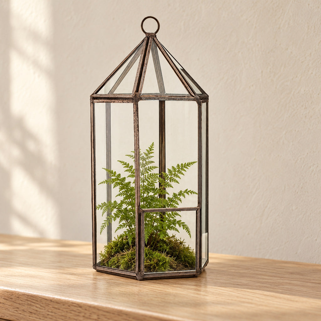Lantern glass terrarium in an antique brass-finish frame, planted with a fern on moss, on an oak console