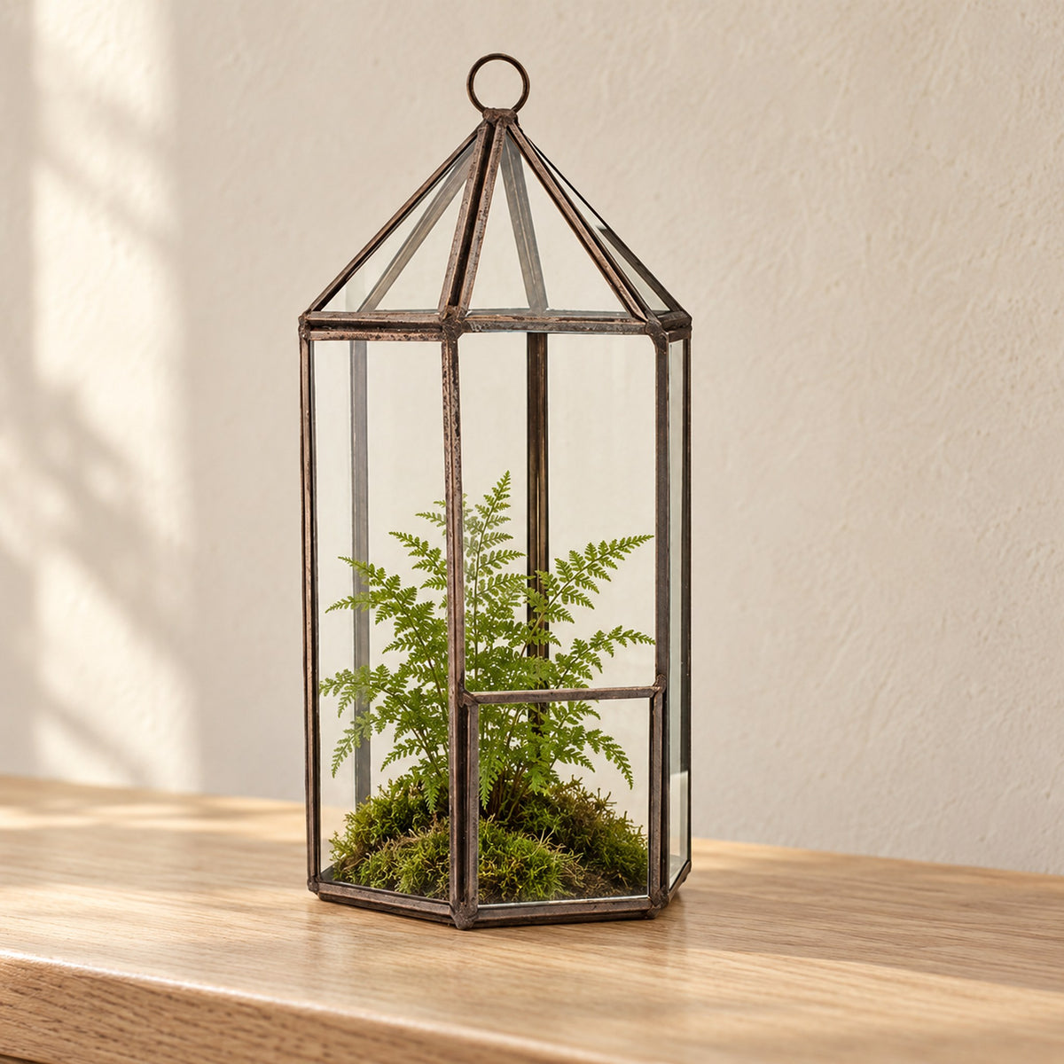 Lantern glass terrarium in an antique brass-finish frame, planted with a fern on moss, on an oak console