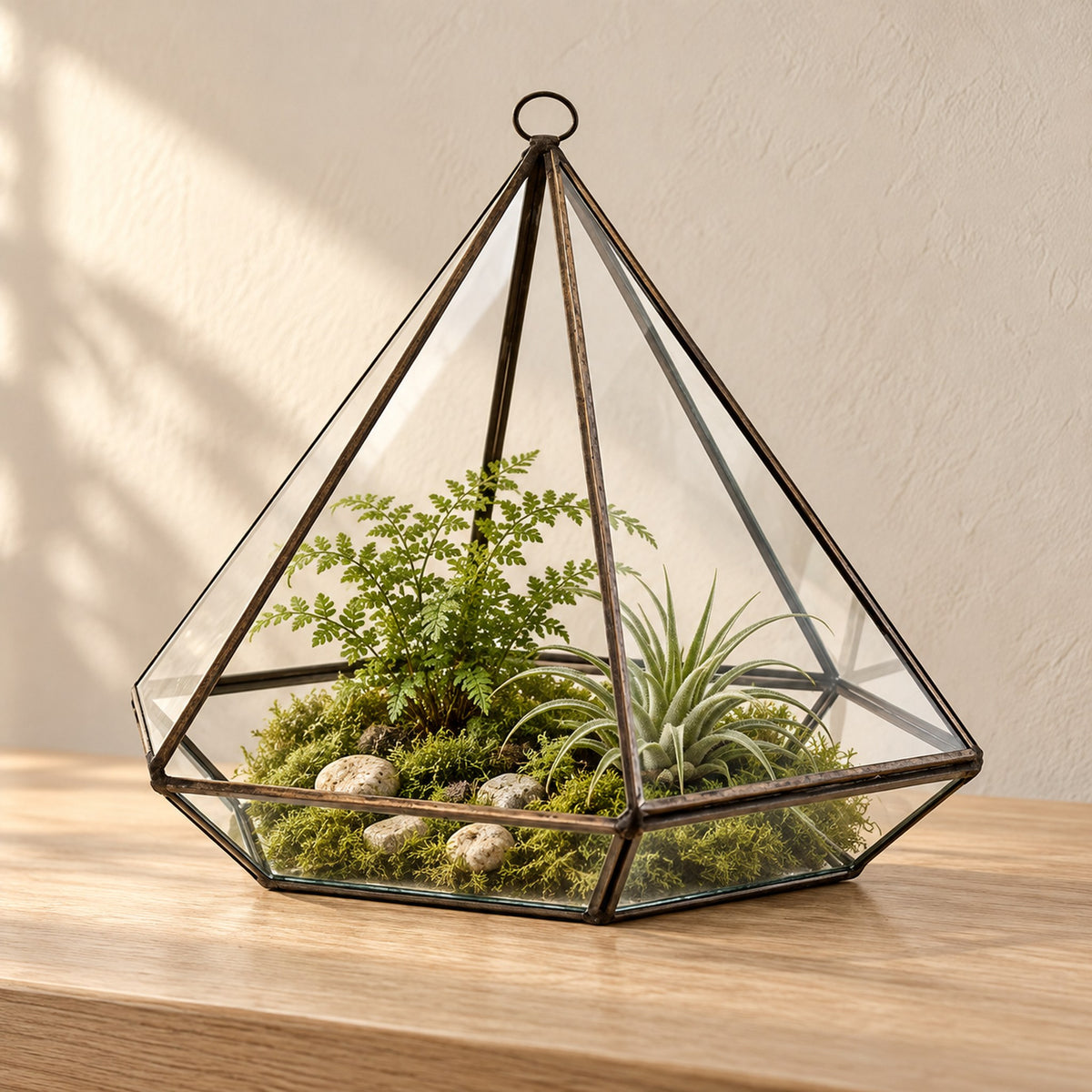 Large diamond glass terrarium in an antique brass-finish frame, planted with a fern and an air plant on moss with pebbles, on a pale oak console