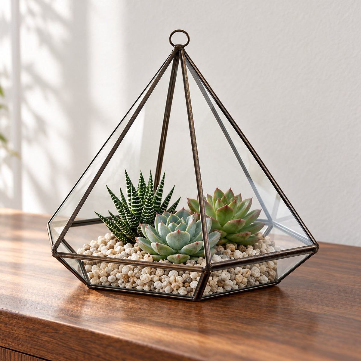 Large diamond glass terrarium in an antique brass-finish frame, planted with three small succulents on pale gravel, on a walnut sideboard