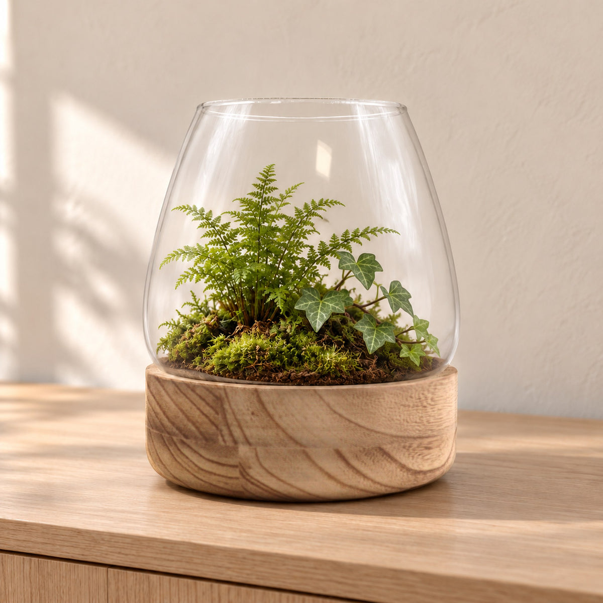 Large glass terrarium on natural tung wood planted with a fern and trailing ivy on moss, on a pale oak sideboard