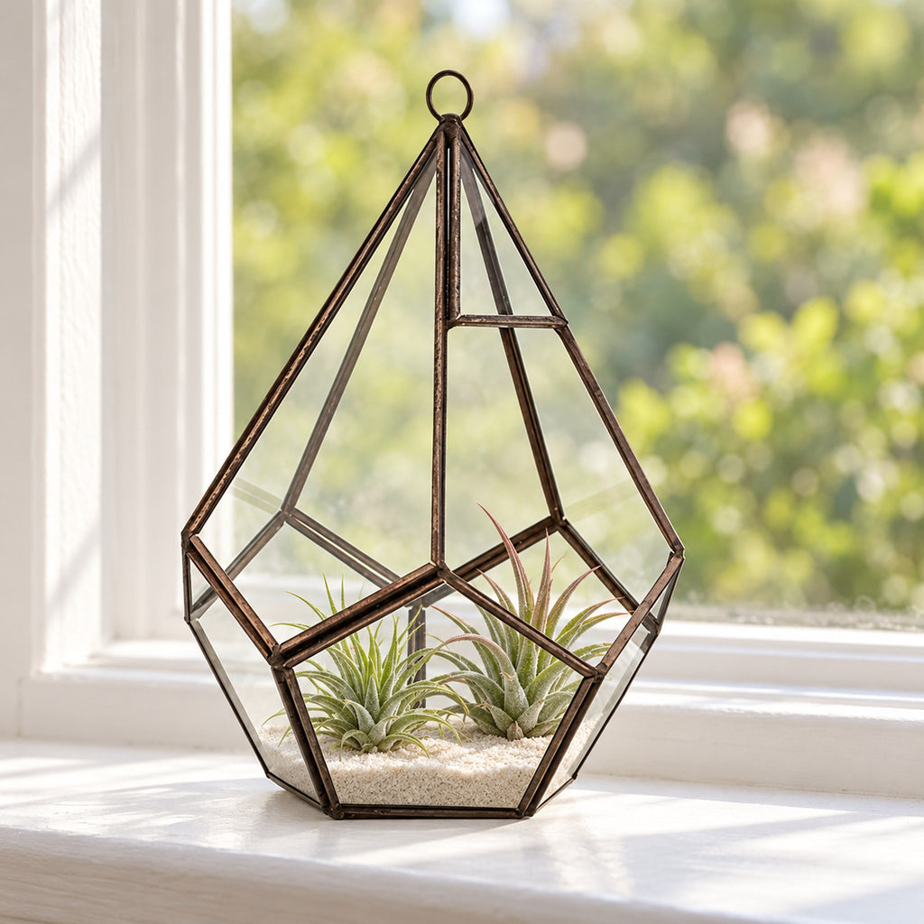Large pentagon glass terrarium with two air plants on sand, on a windowsill above a garden