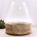 Large Terrarium on Natural Tung Wood - Molten Root