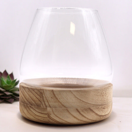 Large Terrarium on Natural Tung Wood - Molten Root
