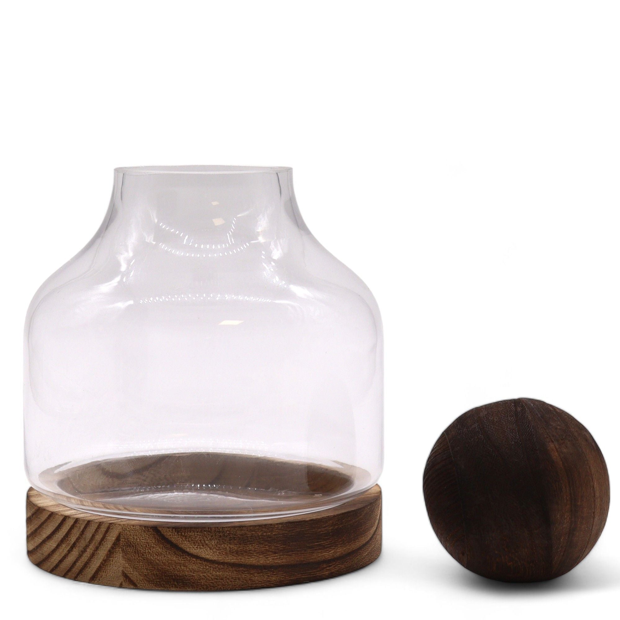 Medium Ball Top Terrarium on Dark Tung Wood - Molten Root