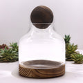 Medium Ball Top Terrarium on Dark Tung Wood - Molten Root