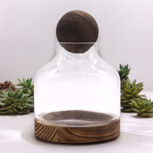 Medium Ball Top Terrarium on Dark Tung Wood - Molten Root
