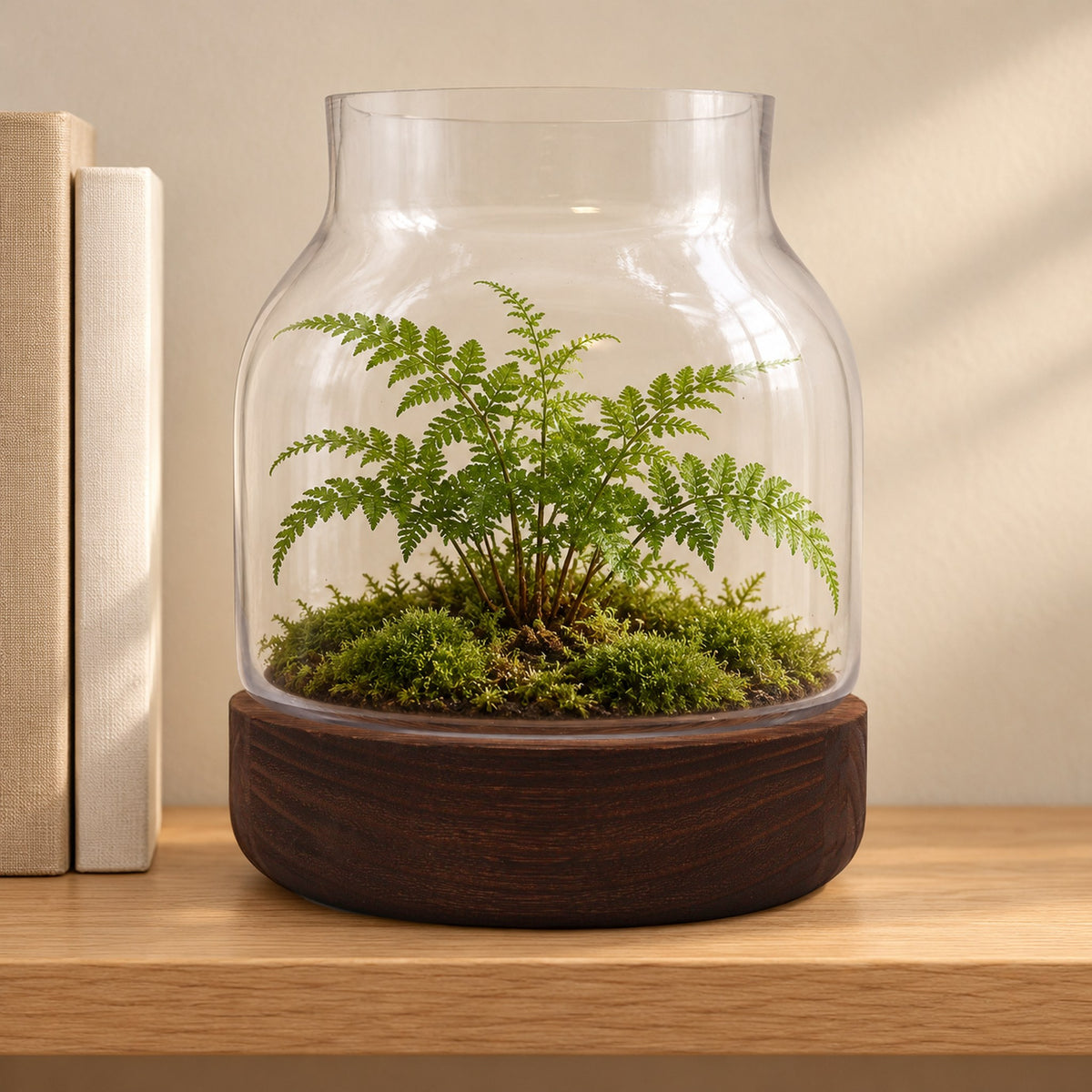 Medium shaped glass terrarium on dark tung wood with a fern on moss, on an oak bookshelf beside books