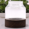 Medium Shaped Terrarium on Dark Tung Wood - Molten Root