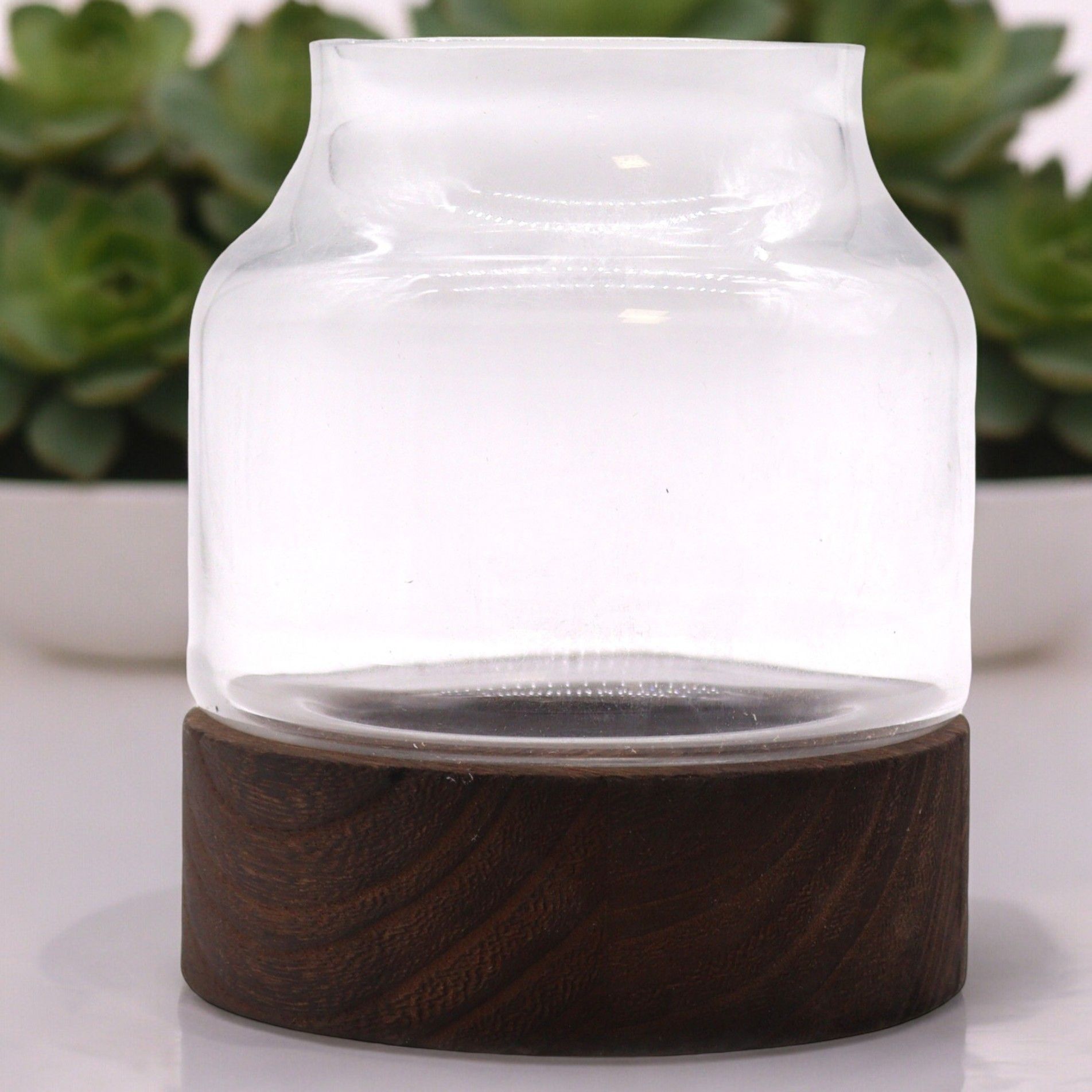 Medium Shaped Terrarium on Dark Tung Wood - Molten Root