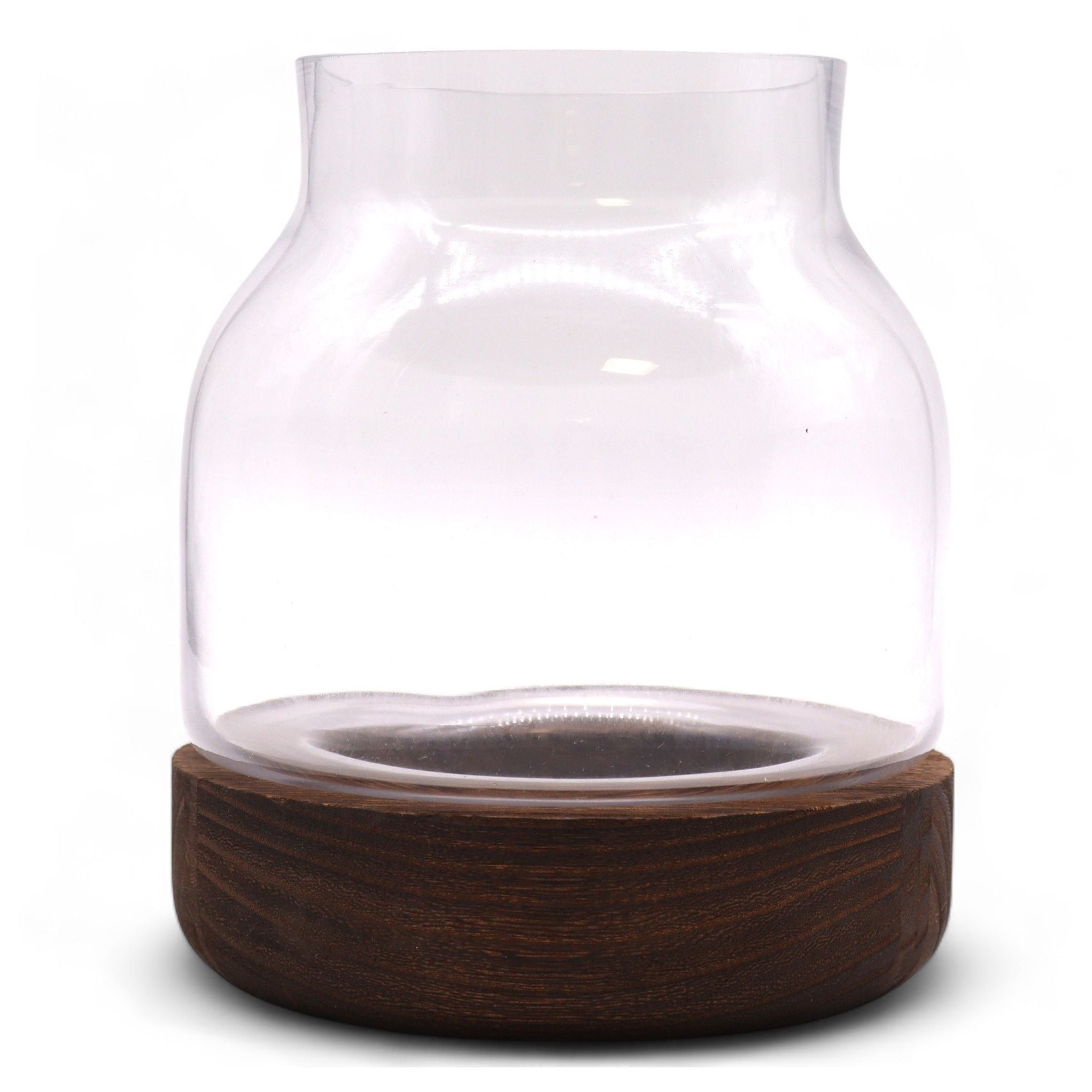 Medium Shaped Terrarium on Dark Tung Wood - Molten Root