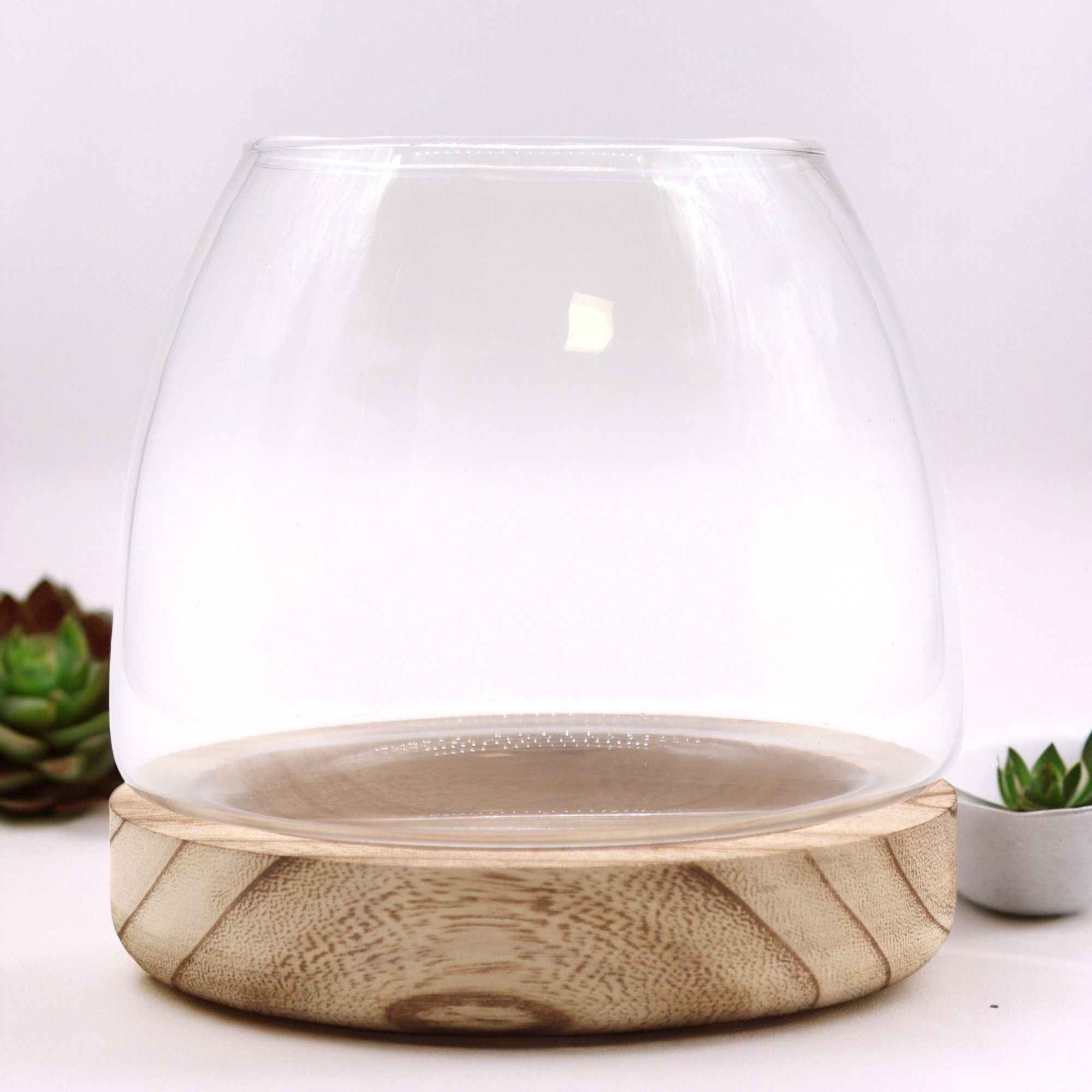 Medium Terrarium on Natural Tung Wood - Molten Root