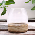 Mini Terrarium on Natural Tung Wood - Molten Root